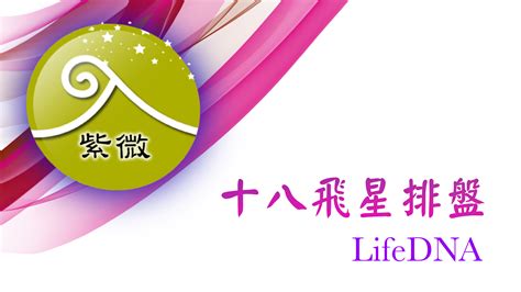 lifedna紫微命盤免費分析